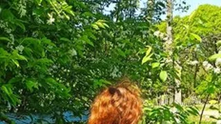 Sex Movies 338