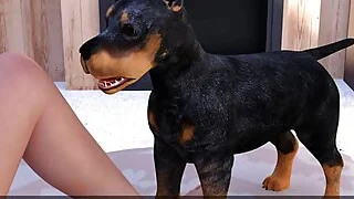 xnxx 102